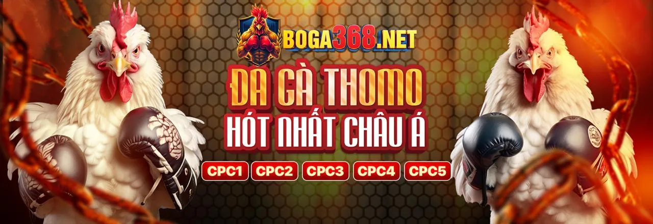 Hình ảnh sân vận động thể thao với các yếu tố cá cược và quảng bá game nổ hũ tặng code
